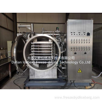 Heating Area 5m2 Freeze Dryer